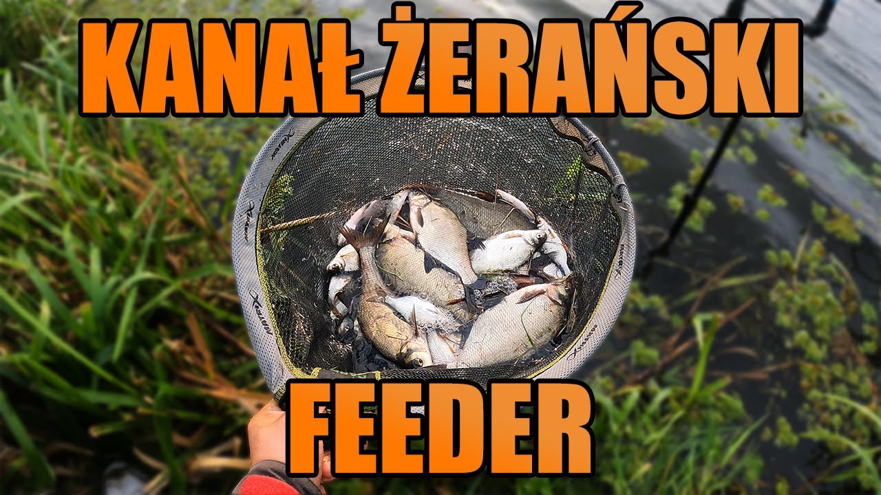 Kanał Żerański. Feeder