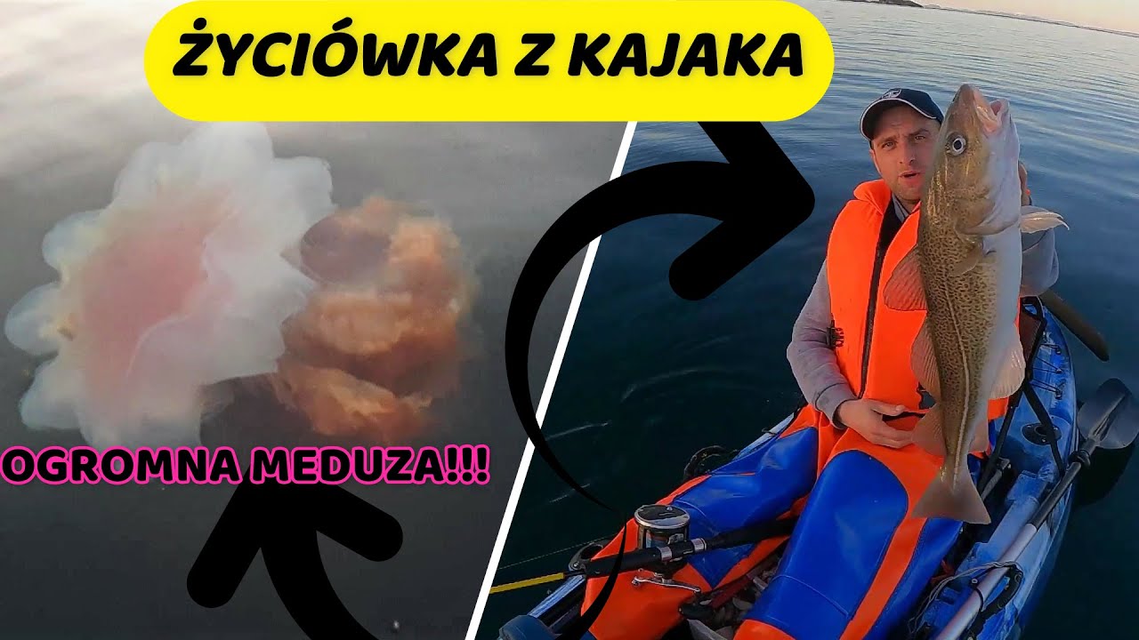 KAJAK I OGROMNA MEDUZA,WĘDKARSTWO 2020 DORSZE