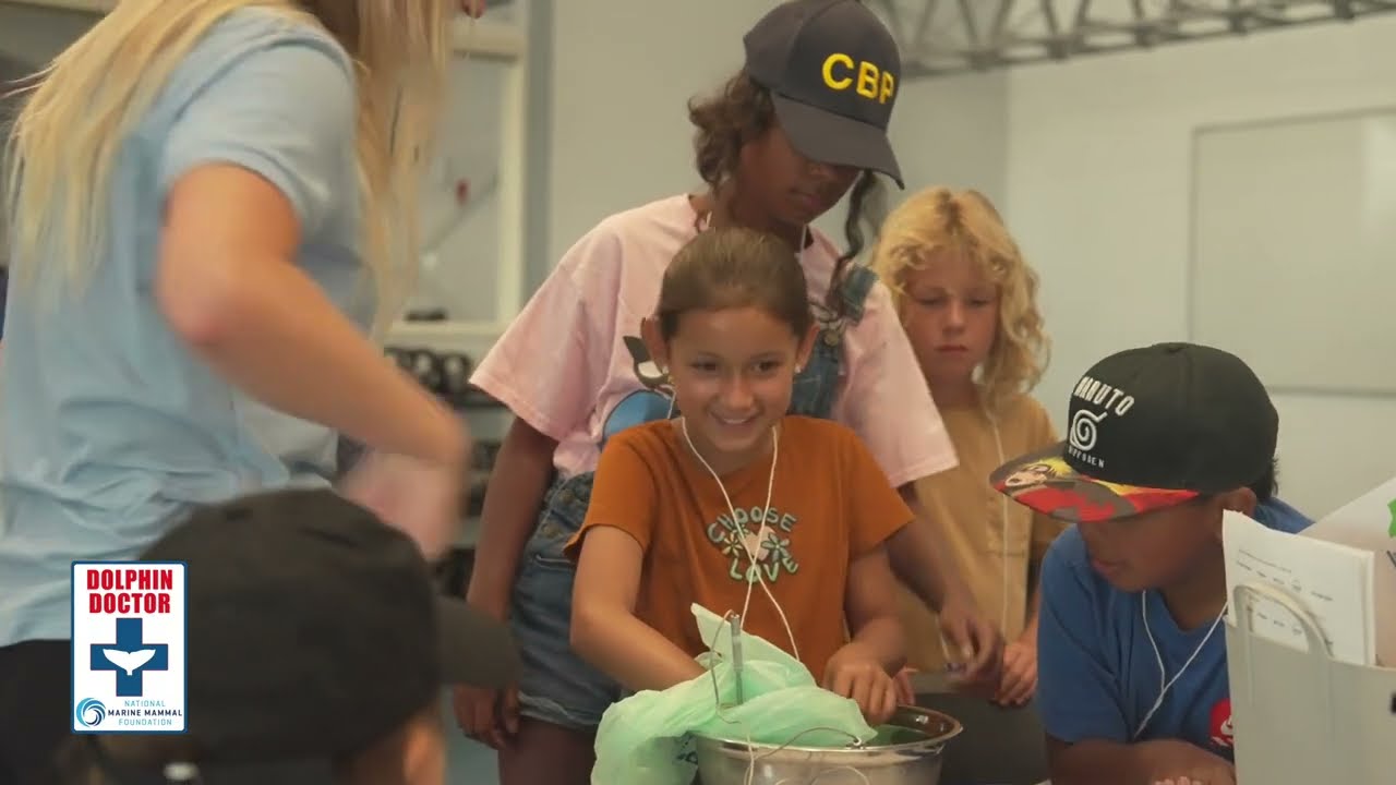 Dive Into Dolphin Doctor: Inspiring the Next Generation of Ocean Leaders