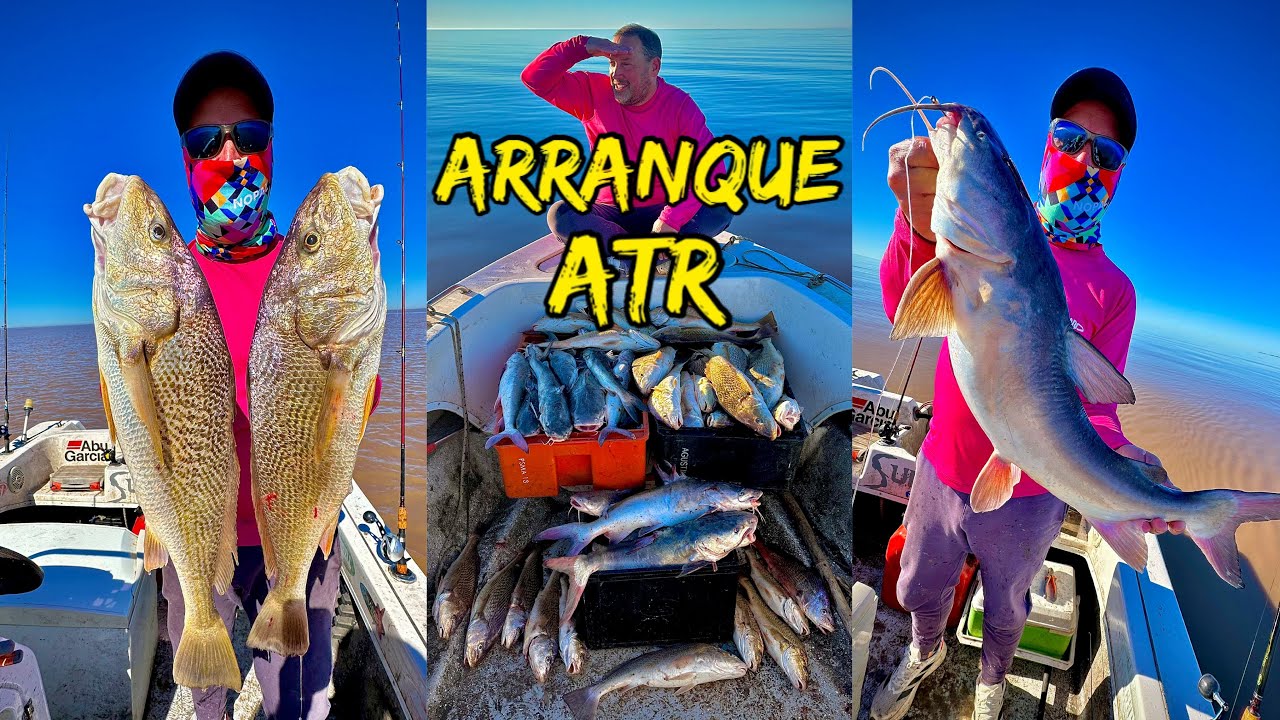 TV Nº704 29-08-2025 Explosivo arranque de temporada