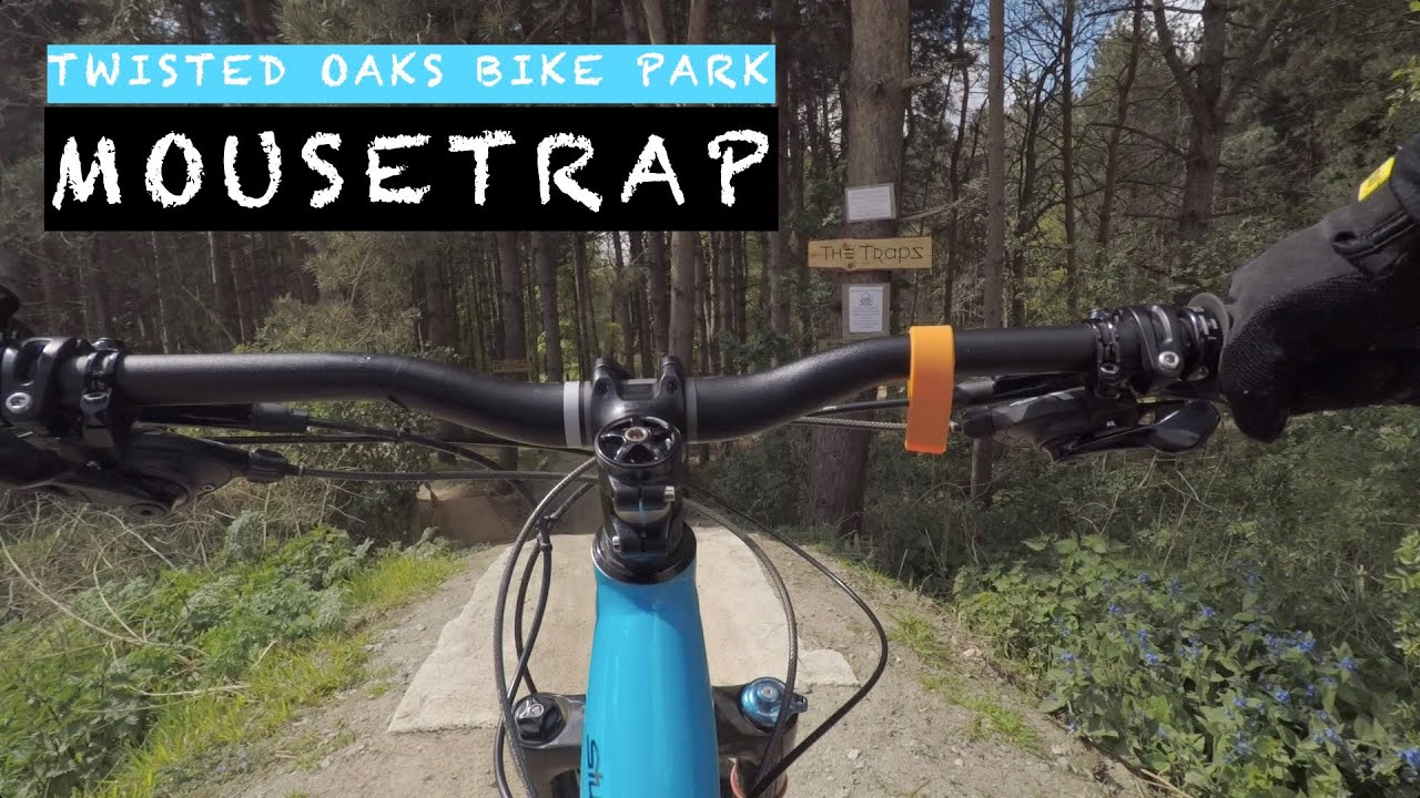 Twisted Oaks - Mouse Trap - 2nd May 2021