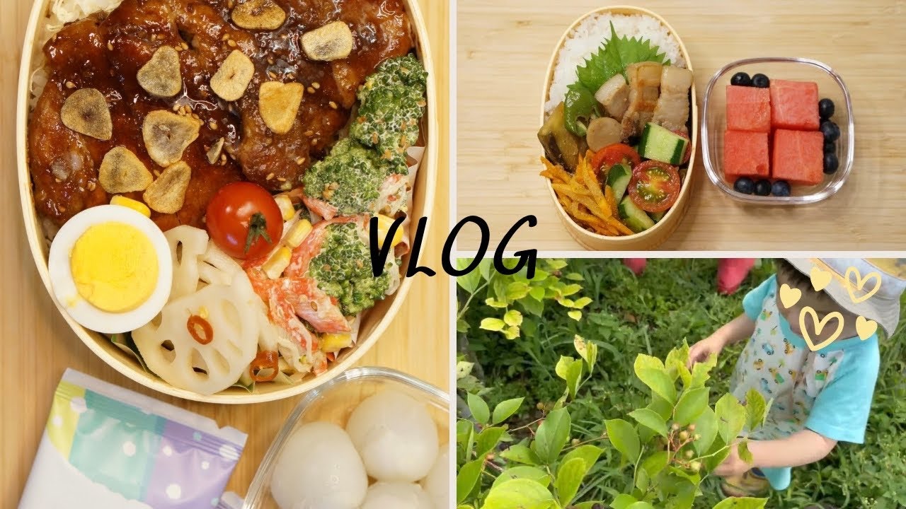 Husband’s bento | Summer vegetables 🥕 🥦🍅| Obon week in Japan 🇯🇵#47