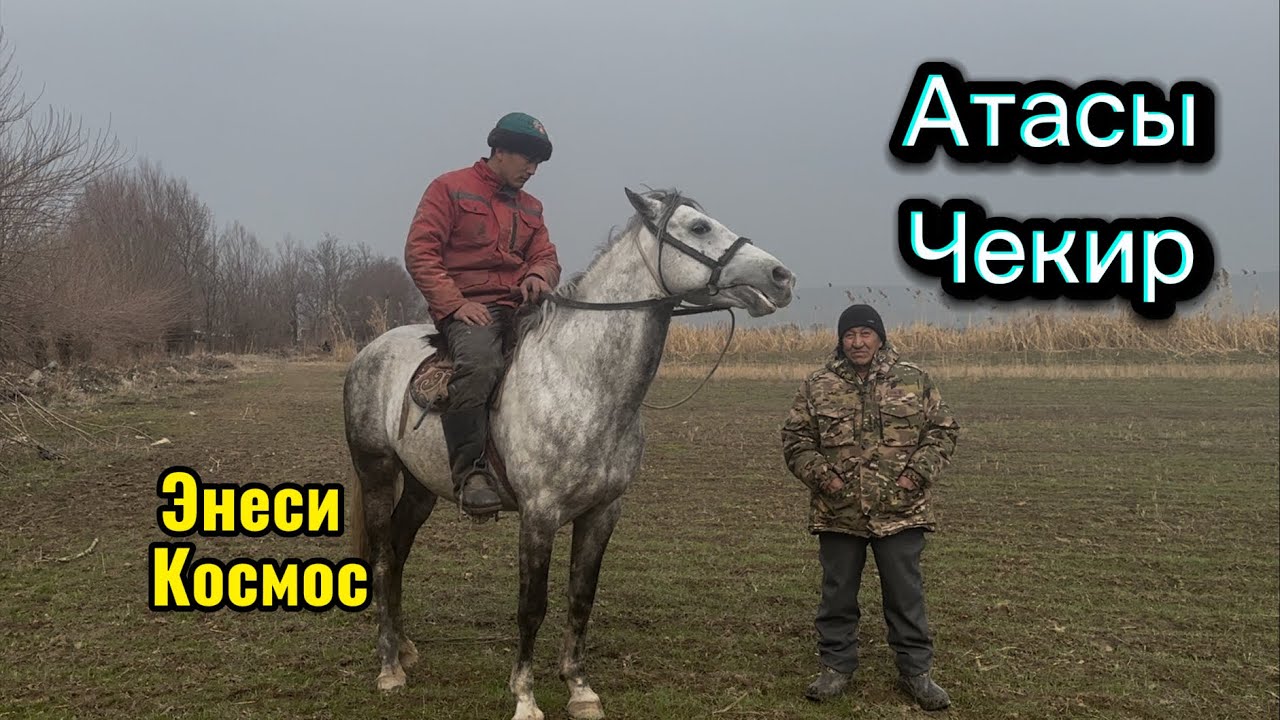 Линия кол бала +996-705-33-32-36. 17 февраля 2026 г.