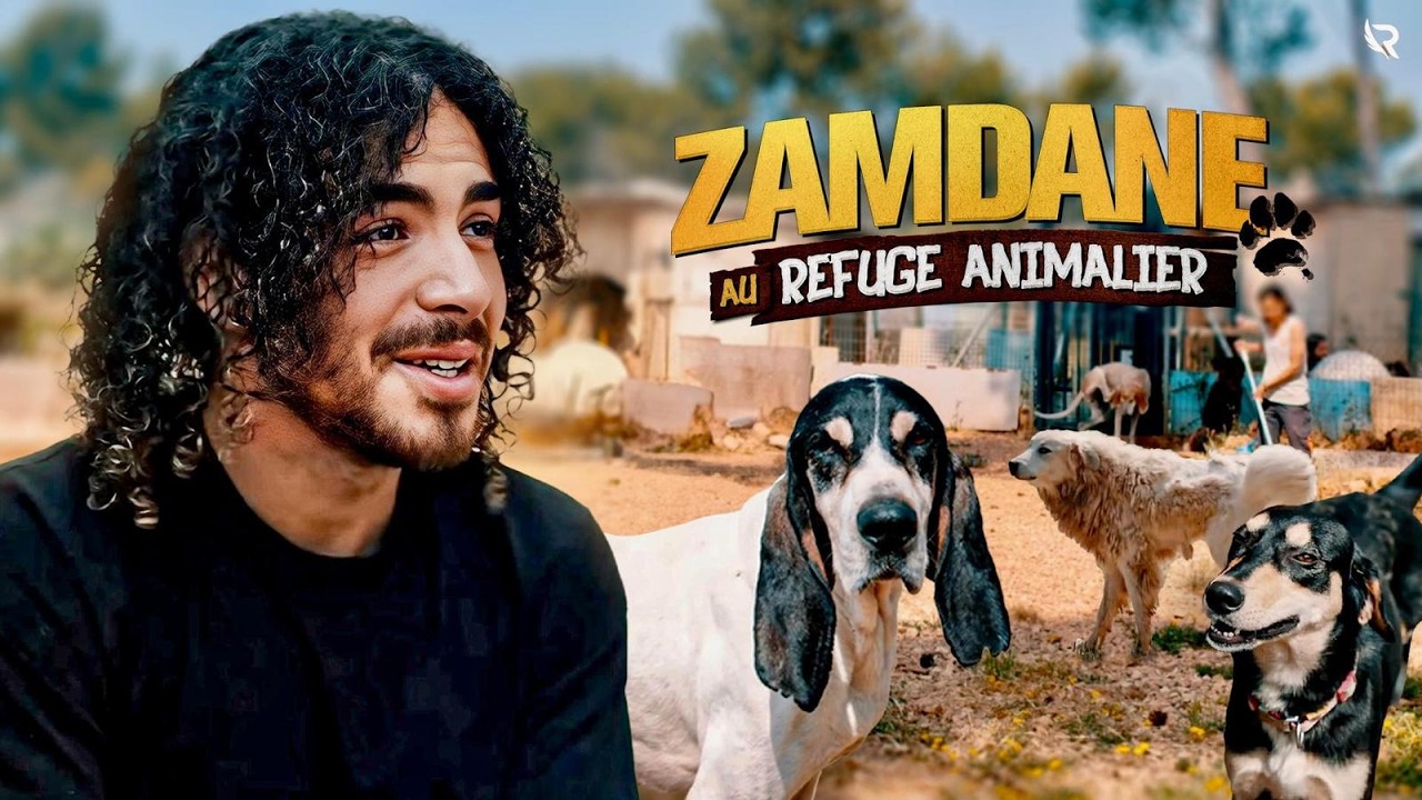 Avec ZAMDANE dans un refuge animalier