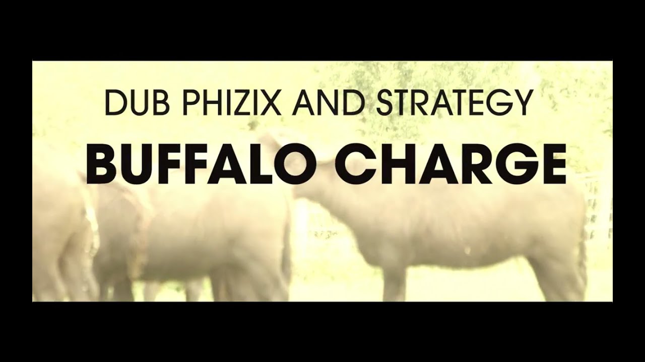 Dub Phizix and Strategy - Buffalo Charge