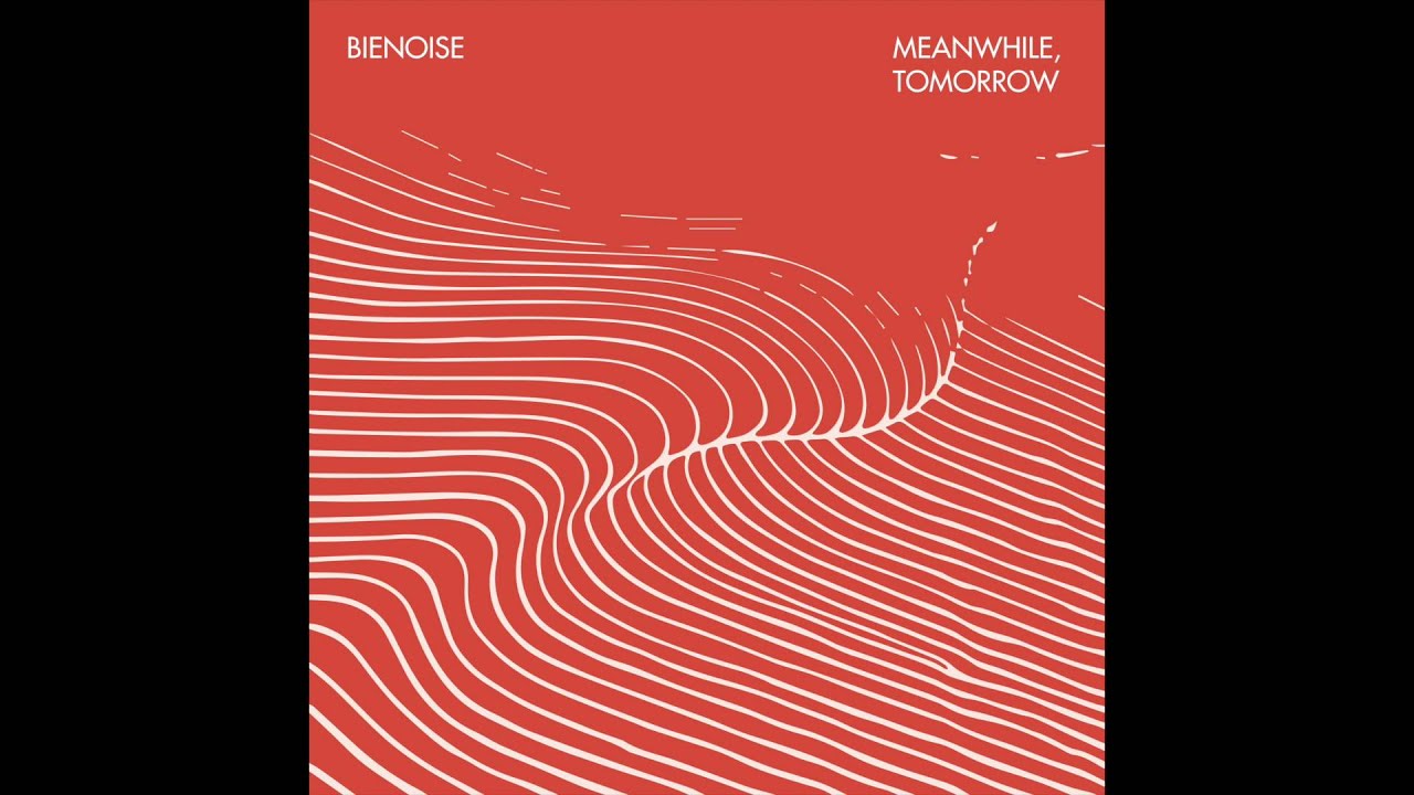 Bienoise - Redundance