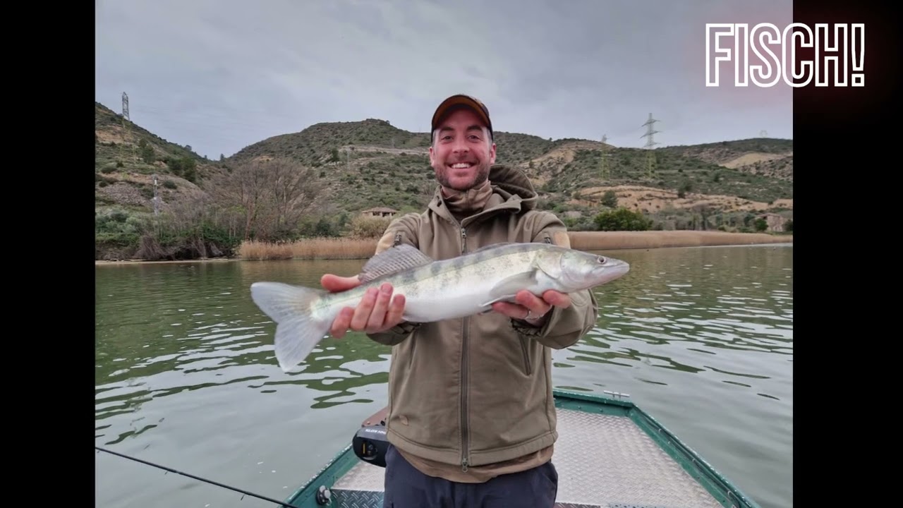 Zander Fischen Spanien Ebro 2024