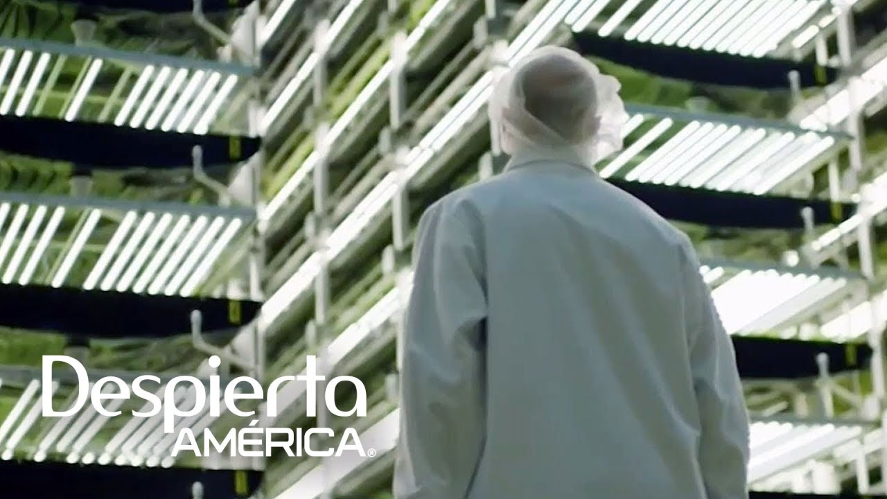AeroFarm: la granja de cultivo vertical más grande del mundo en Nueva Jersey