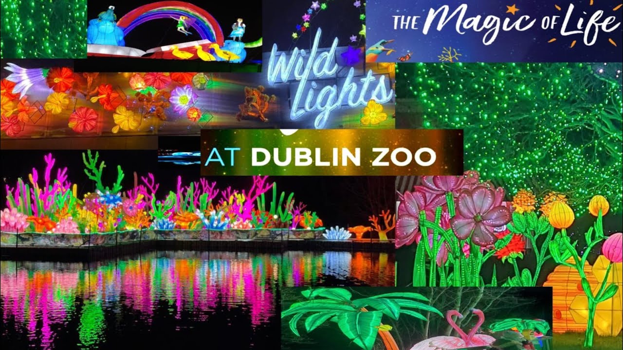 Wild Lights at Dublin Zoo 2022-Dublin, Ireland /wild lights Dublin Zoo/ The Magic of Life