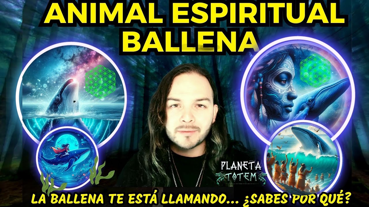 animal de poder ballena y su significado espiritual