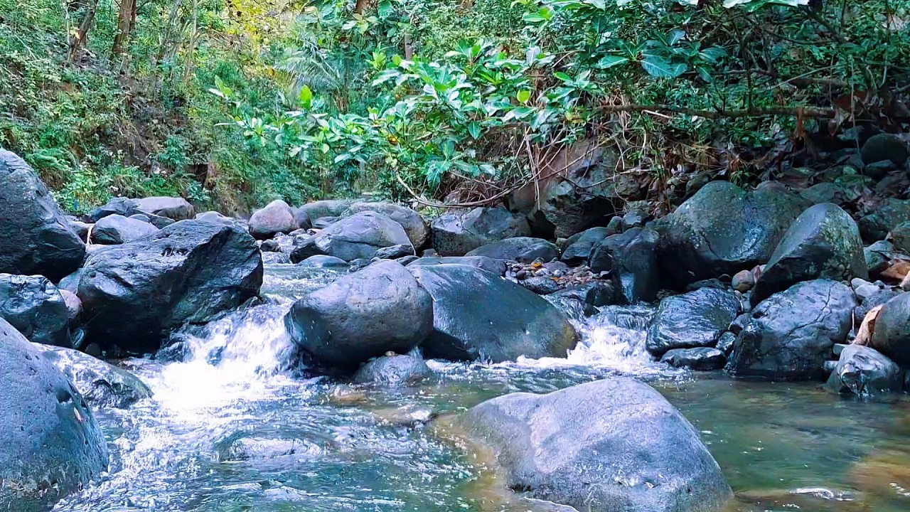 Natural River Ambience for Deep Night Rest