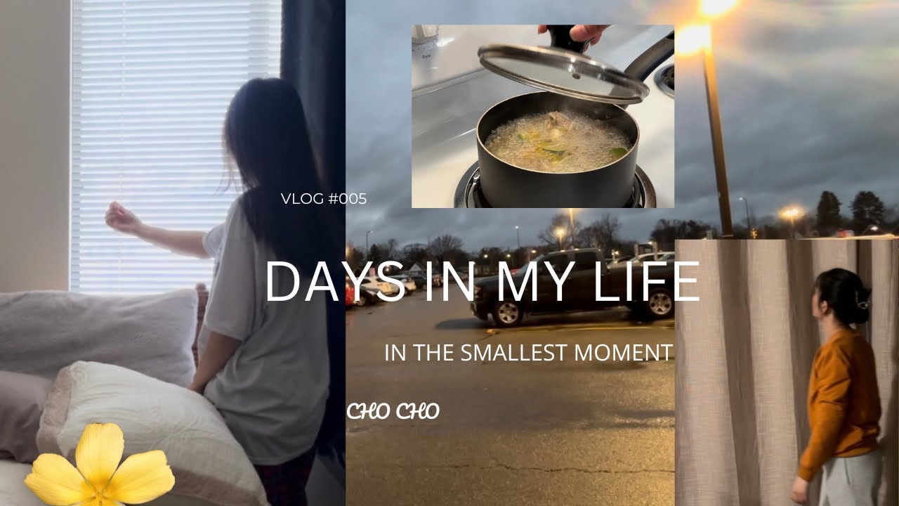 Days In My Life|🪴In the smallest moments we find the greatest strength| 💖Vg #005| 🌸Cho Cho