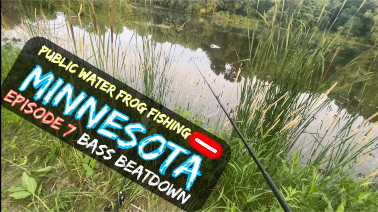 Frog fishing open water pond (Below average angler lucky catches)