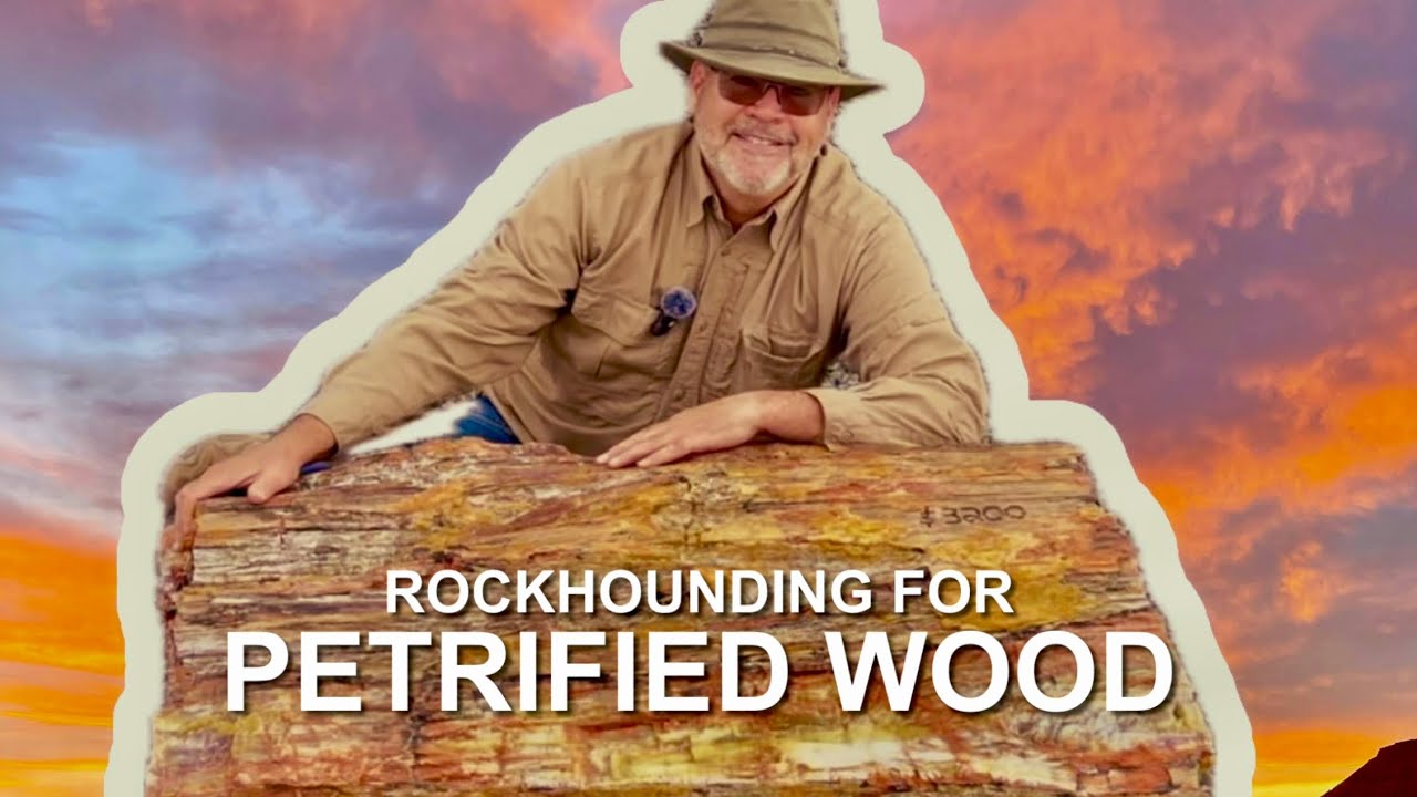 Arizona's Stunning Petrified Wood - Rockhounding The BIG STUFF!