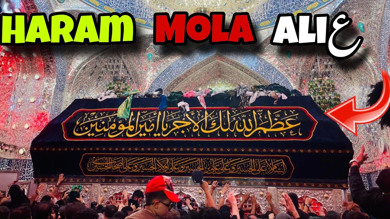 Haram mola Ali ع najaf|| Arbeen walk 2025|| zyarat mola Ali