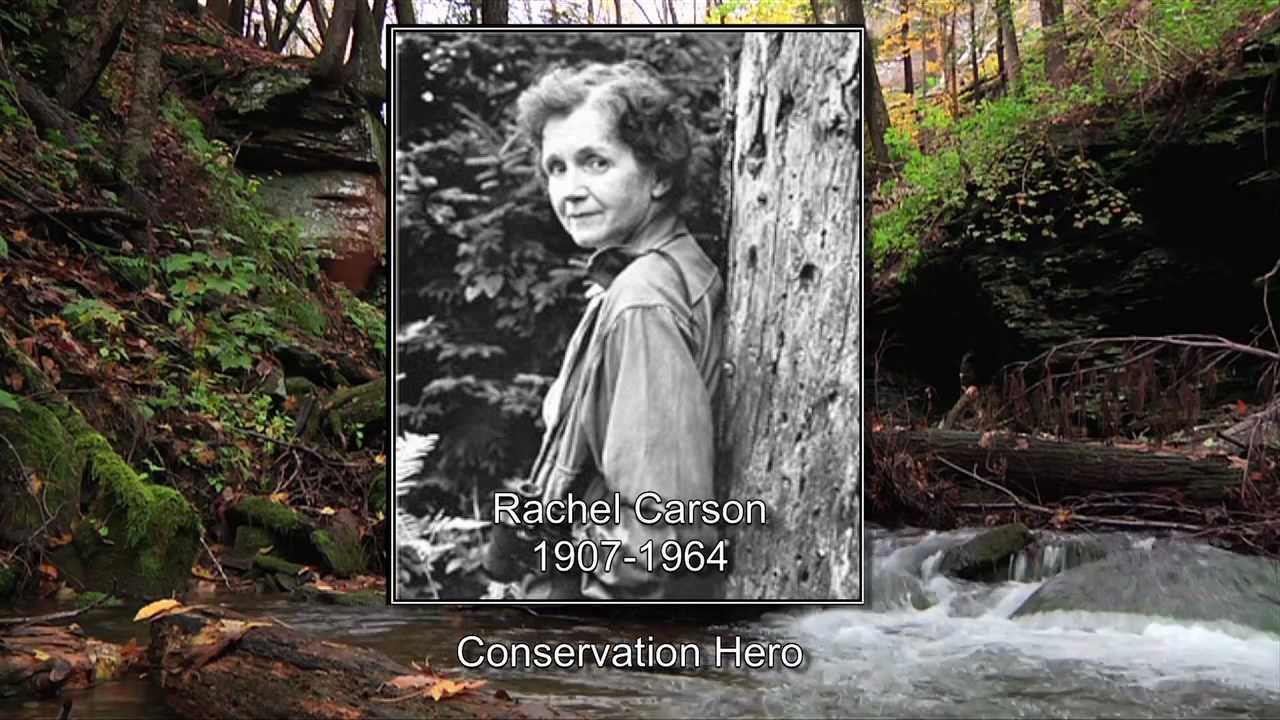 Rachel Carson-Conservation Hero