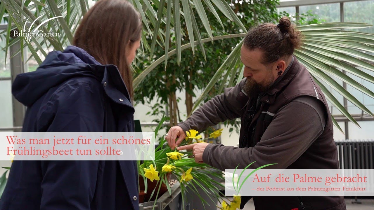 Was man jetzt für ein schönes Frühlingsbeet tun sollte - Podcast #21