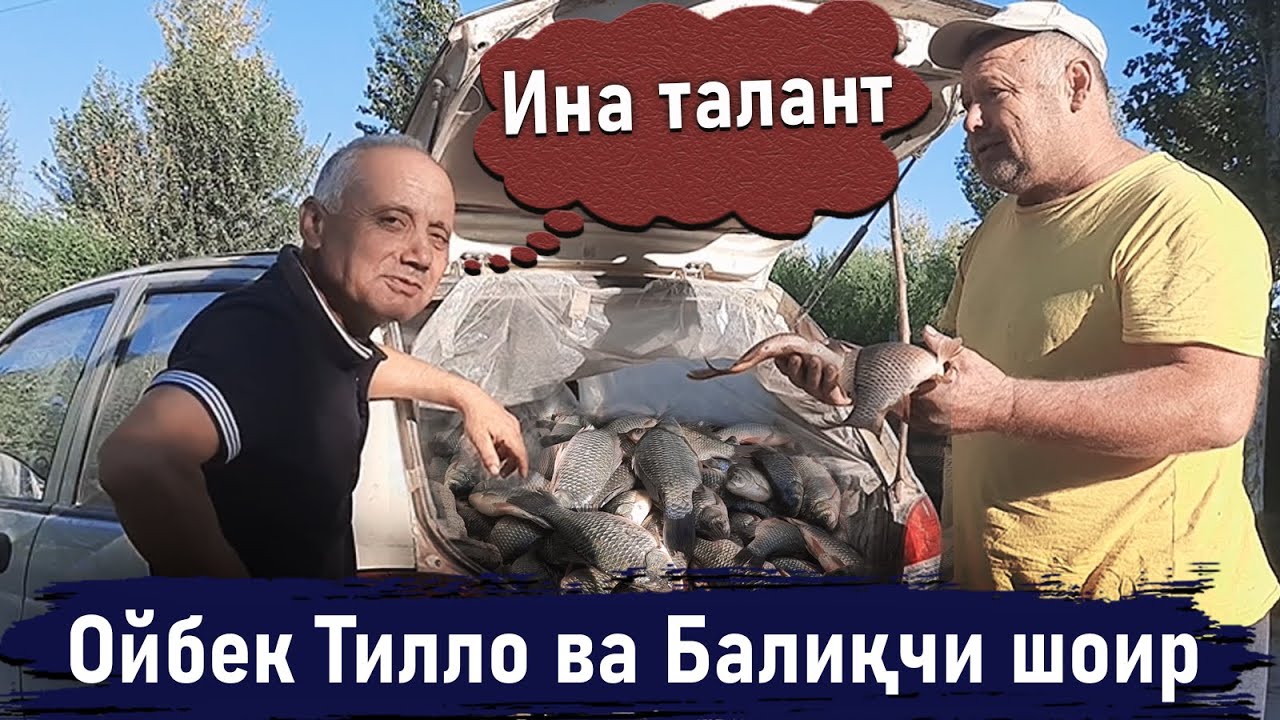 Ойбек Тилло ва Балиқчи шоир ( Ина талант )