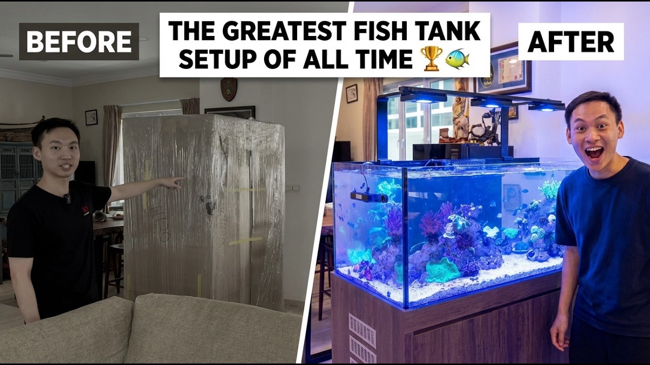 You’ll Never See Fish Tank Setup Like This Again 👀🐠