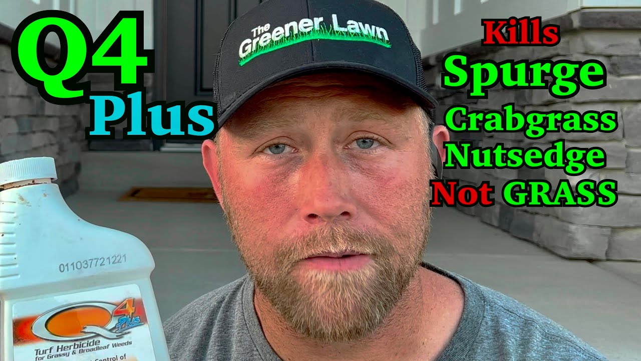 Remove Crabgrass and Broadleaf Weeds FAST- Q4 Plus Overview