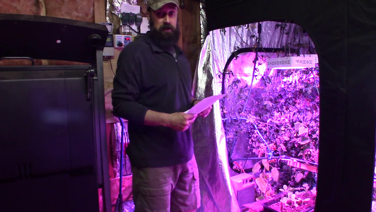 Grow tent setup for growing vegetables