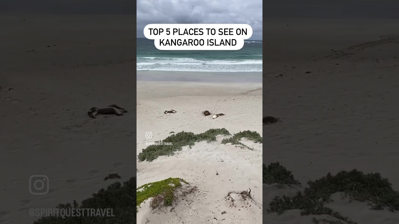 Top 5 Must-See Spots on Kangaroo Island 🌿🏝️