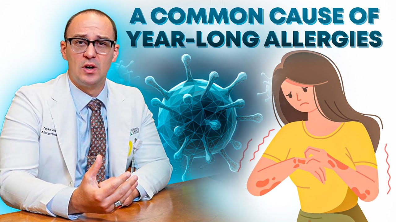 Tips for Managing Dust Mite Allergies From an Allergy Specialist!