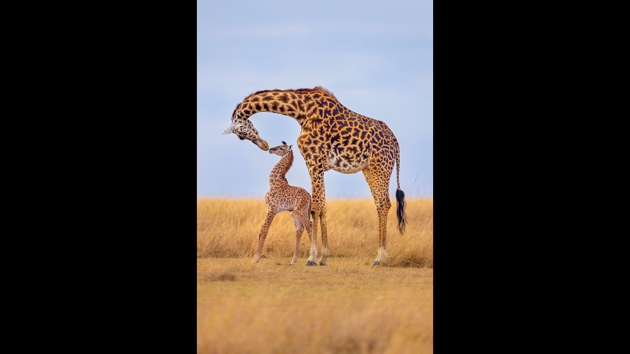 자연의 경이로움을 포착한 최고의 사진들