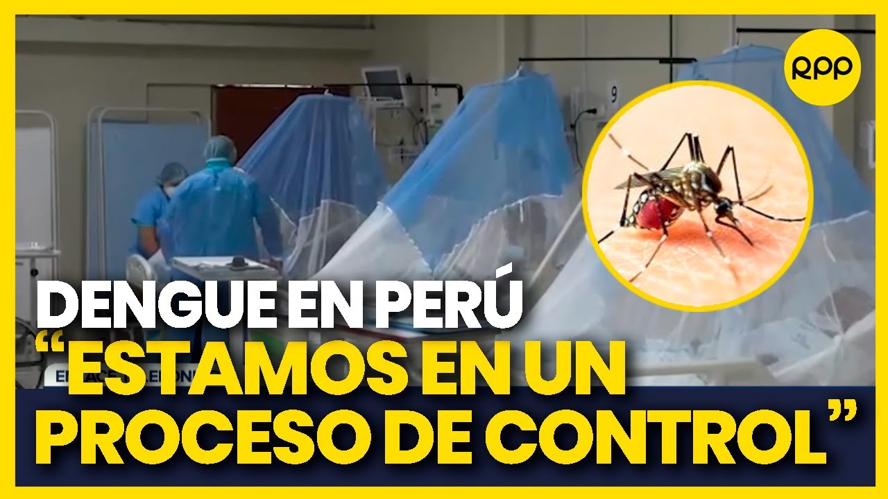 Dengue en Per&uacute;: 