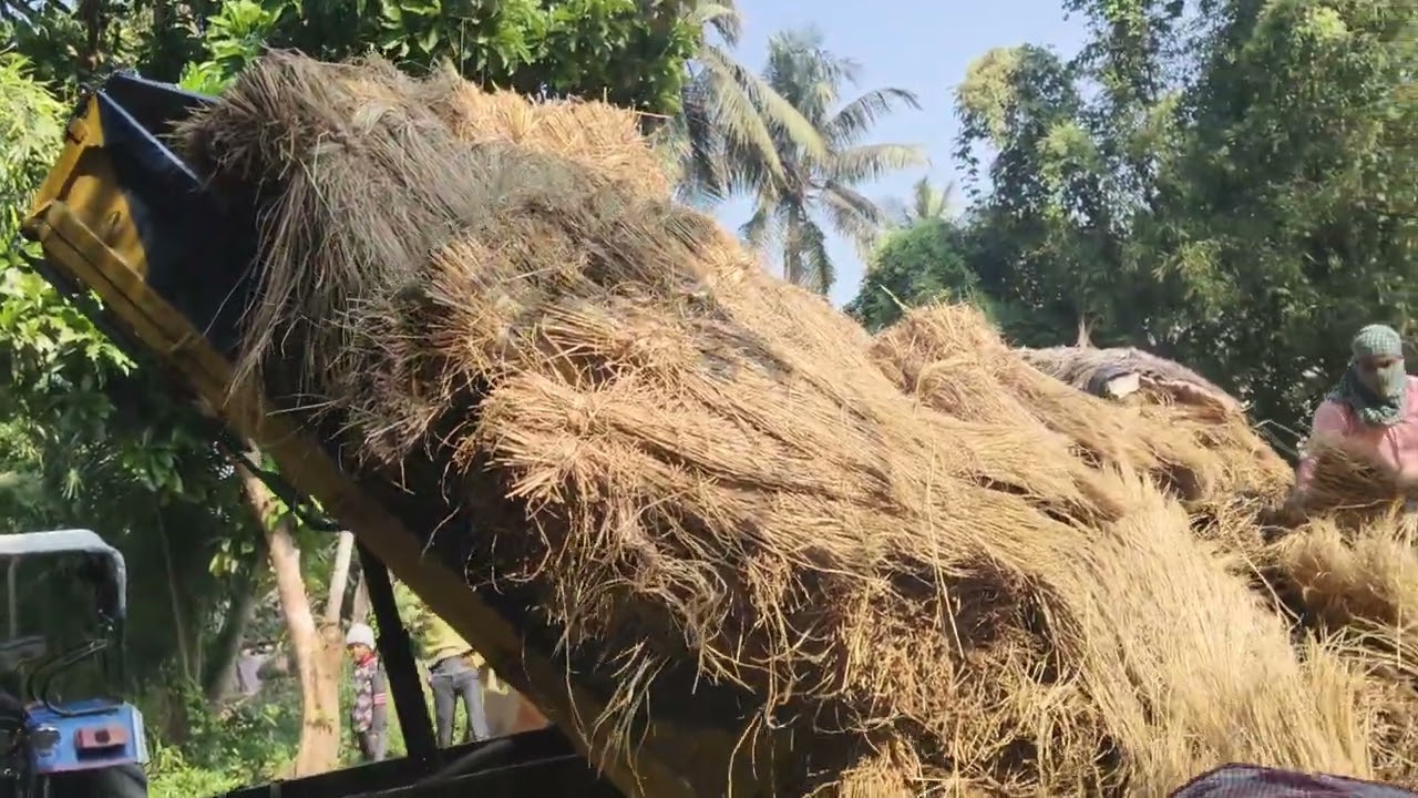 Sonalika Trolley unloading ⚡ #trending #viralvideo #veiws #sonalikatractors 