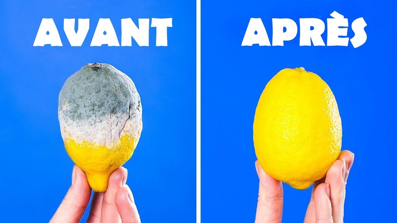 20 ASTUCES POUR GARDER TES ALIMENTS FRAIS PLUS LONGTEMPS
