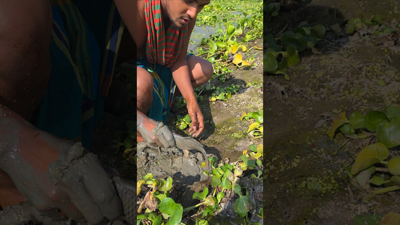 The thrilling moment of catching a huge fish in the river😱🐟🐟#shorts #fishing #riverfishing