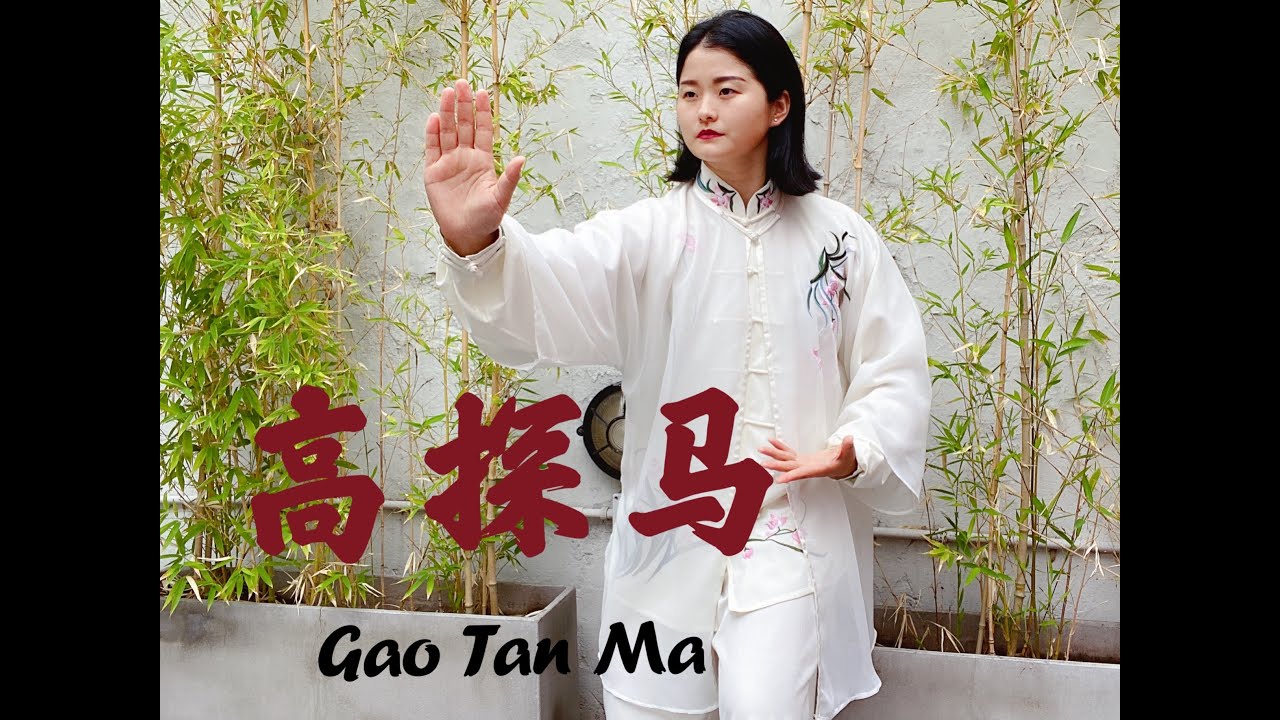 Wushu Kung Fu 258 TaiJiQuan Forma 24 简化太极拳 Parte 6