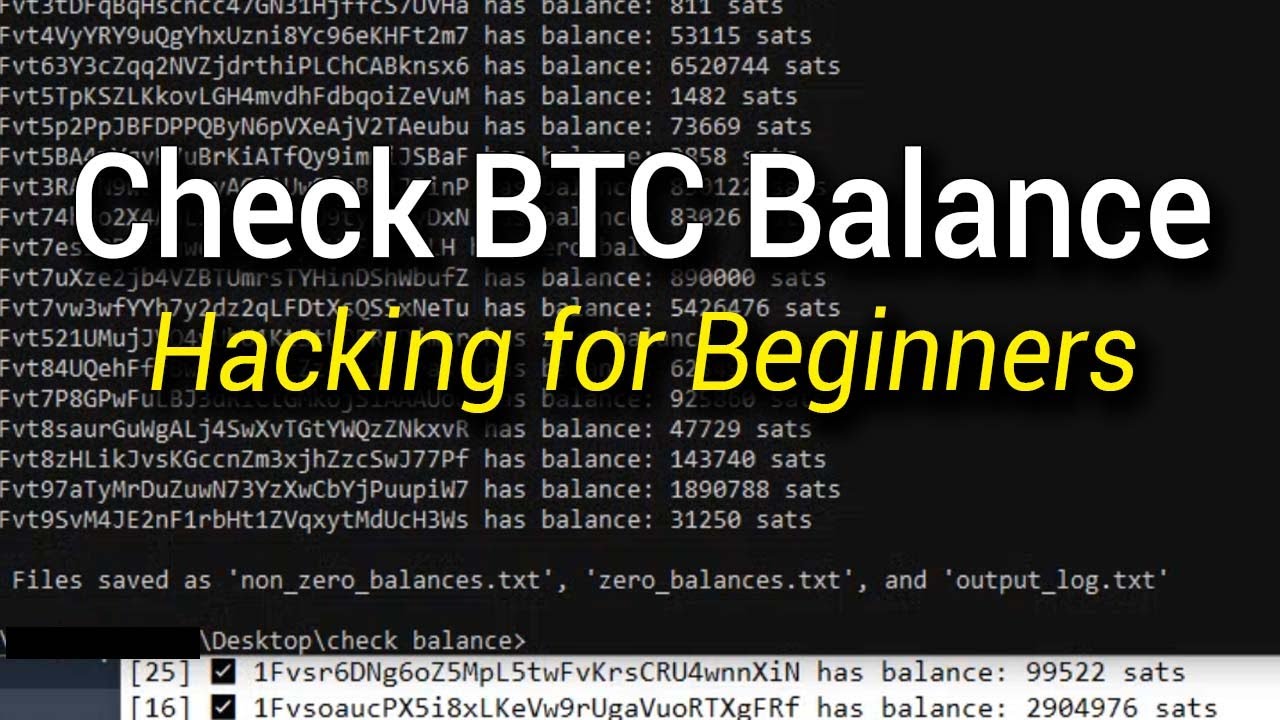 Check BTC Balance: Hacking for Beginners