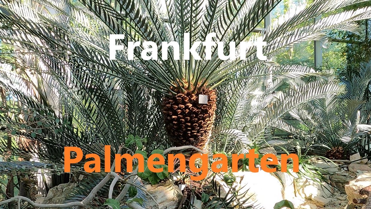 Palmengarten: Botanical Garden in Frankfurt with beautiful scenes (4K video in 4 minutes)
