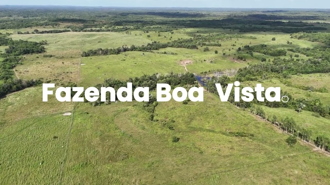 Fazenda Boa Vista, Araguanã-MA