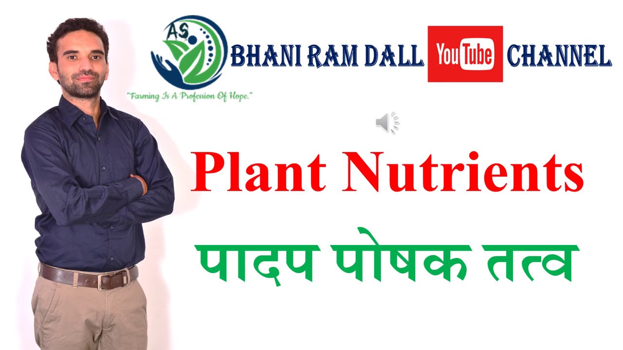 Plant Nutrients-1/पादप पोषक तत्व-1  AFO, AAO, कृषि पर्यवेक्षक, ICAR, Pre-PG