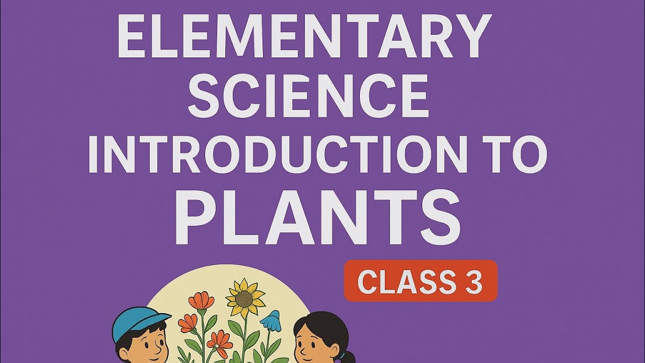 class 3। Introduction to plants । Elementary Science । Chapter 1।  2025 & 2026।  complete solution