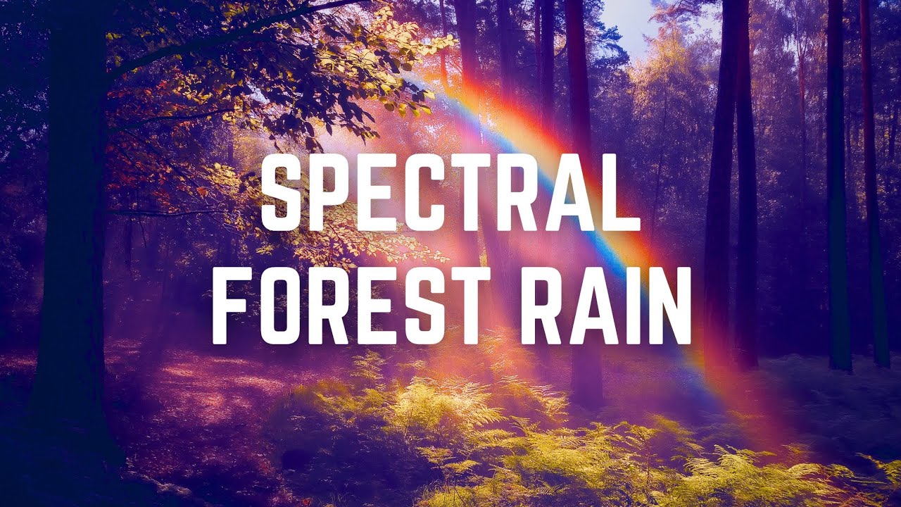 SPECTRAL RAIN | 12 Hrs | Black Screen | No Midway Ads | Sleep/ Focus/ Calm Anxiety/ Combat Tinnitus