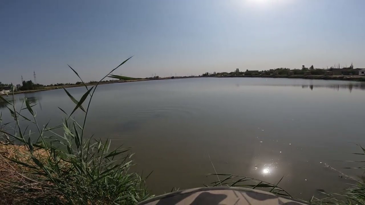 15 января 2026 г.