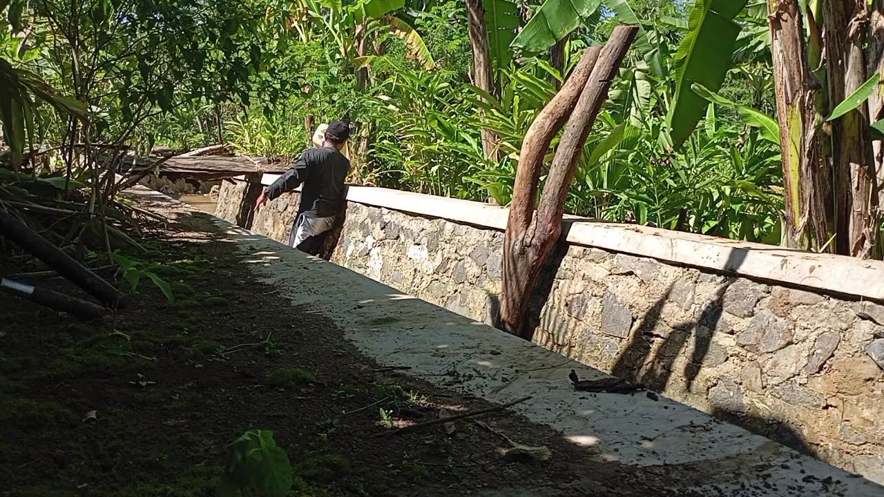 Lagu pop 2000an Indonesia kenangan bersama dirinya Dadali Papinka ilir7 syahriadi 