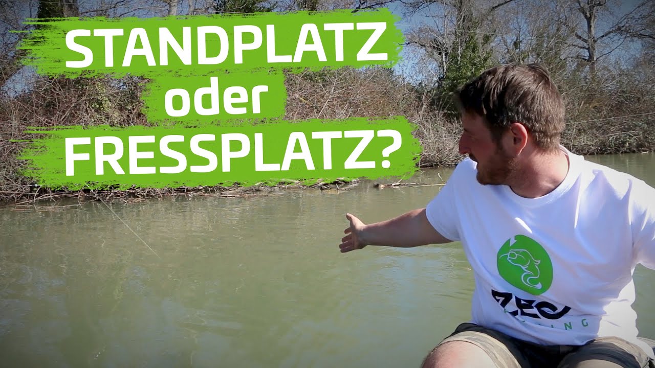 Wann STANDPLATZ, wann FRESSPLATZ? | Platzwahl beim Welsangeln