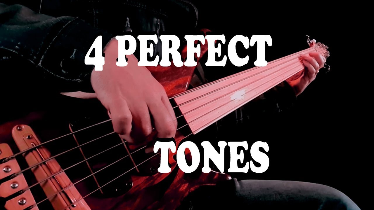 IF YOU LOVE THE FRETLESS BASS, WATCH THIS /// 4 Amazing Basses