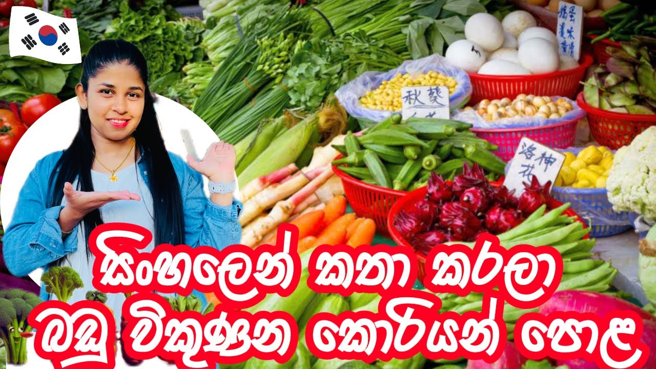 ලංකාවේ පොළකට ගියා වගේ දැනුනා👋🏻Korean food market 🍆🥥🥦🥕🍎🍌