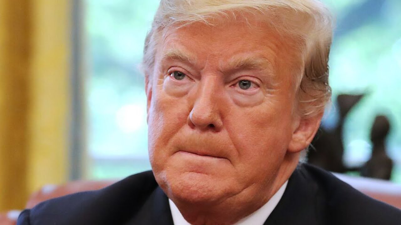 Author SHOWS RECEIPTS After Trump Lies About New Book