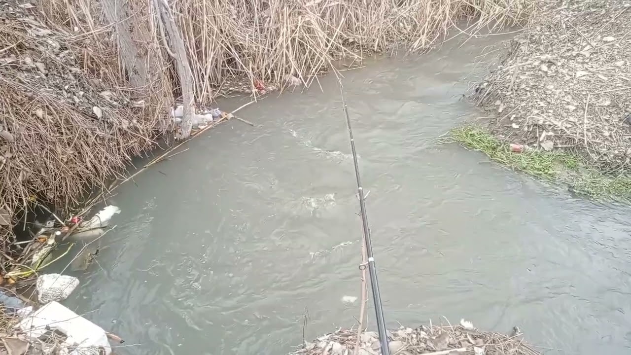 Bizni kuzatishda davom eting layk bosing kanalga obuna boʻling 