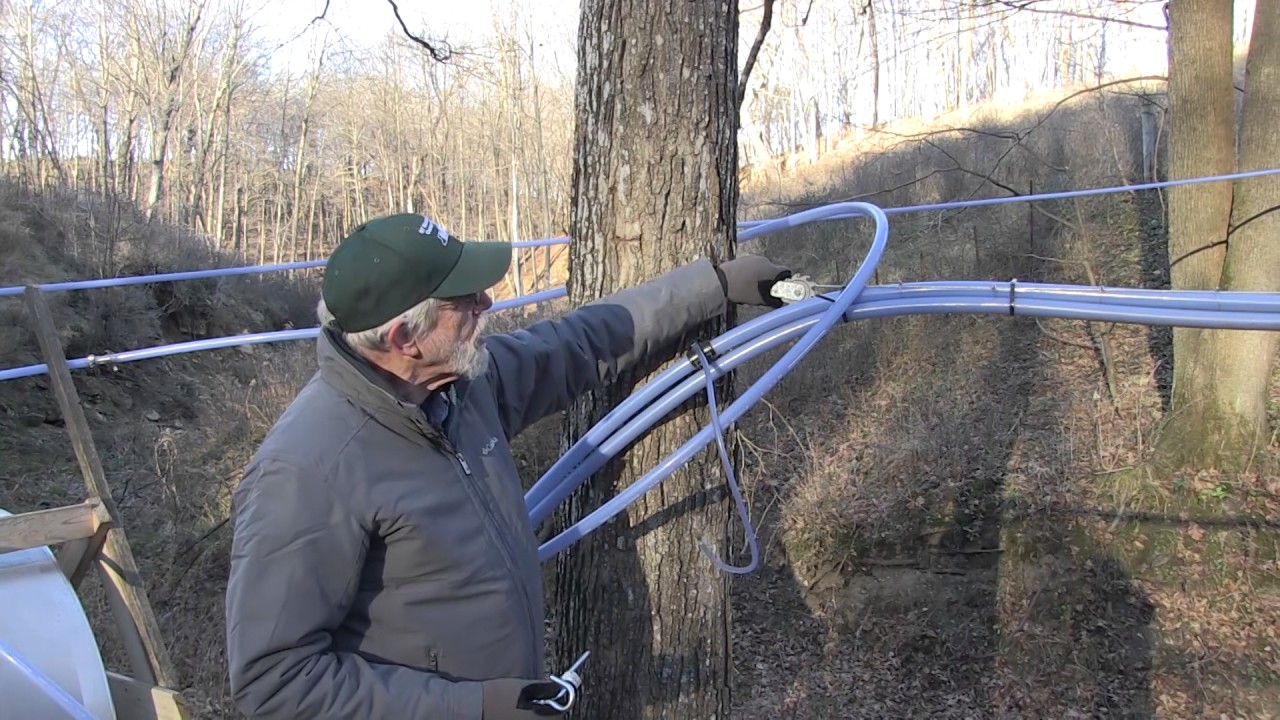 maple syrup 101 - Mainline installation
