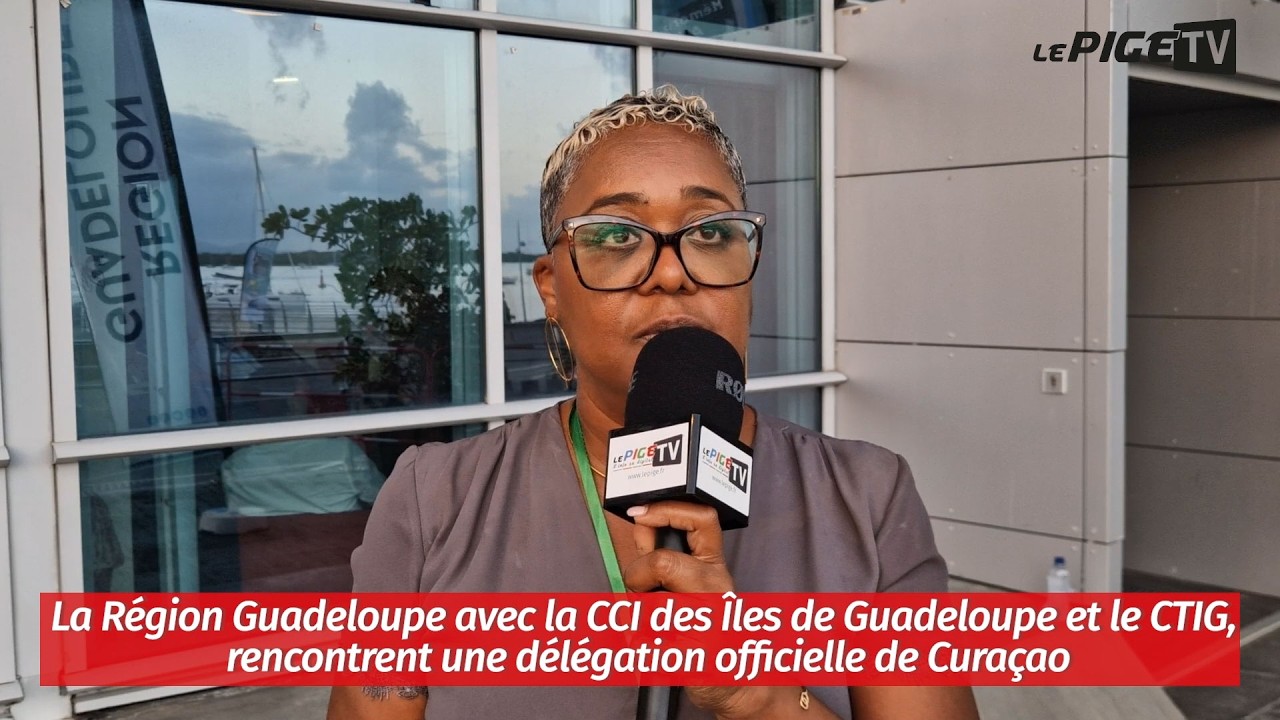La Région Guadeloupe avec la CCI et le CTIG, rencontrent une délégation officielle de Curaçao
