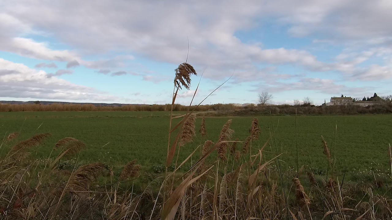 FONDO 20201211 155055 0010