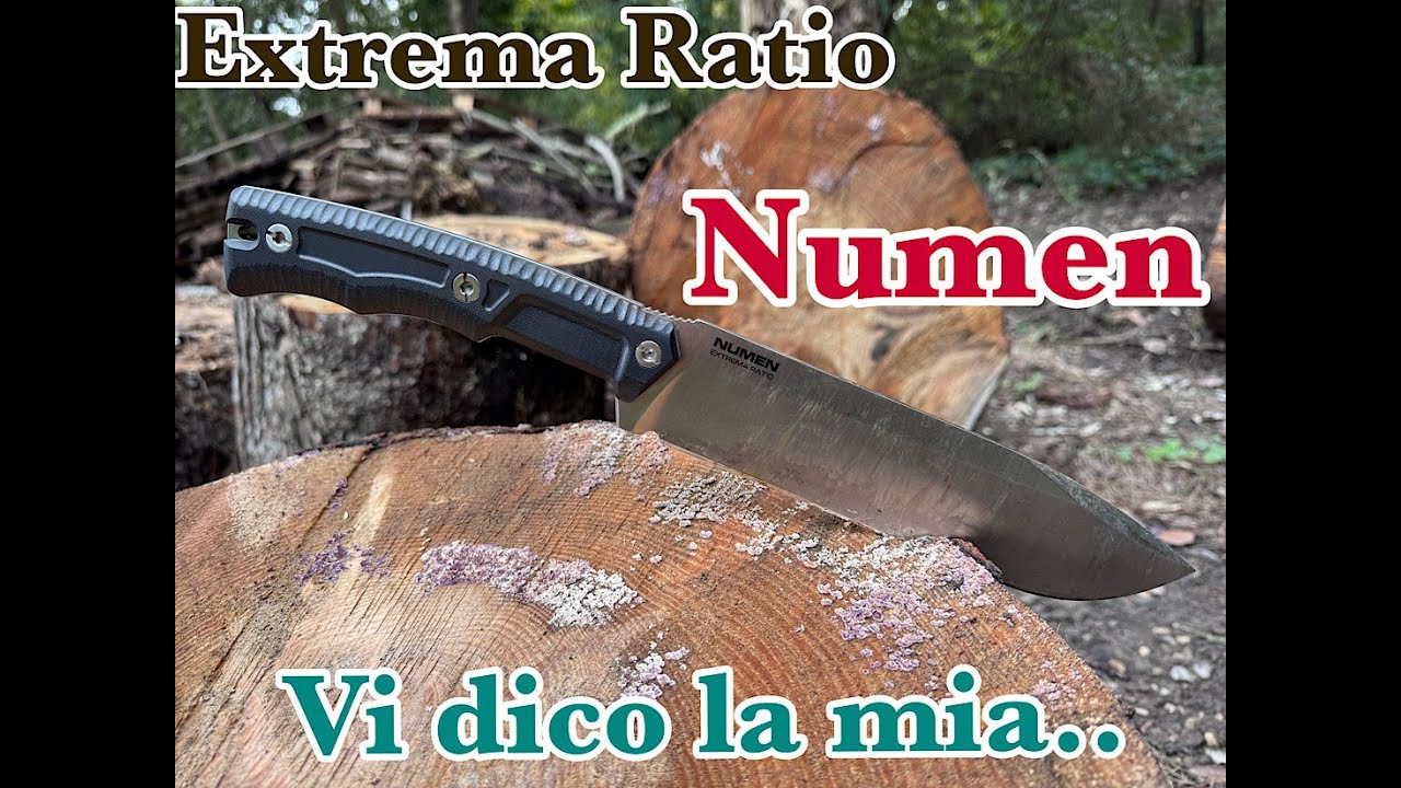 EXTREMA RATIO NUMEN VI DICO LA MIA.....